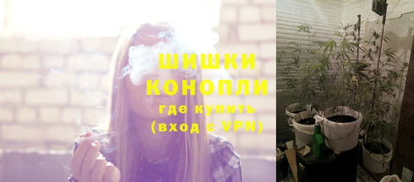 СК Краснослободск
