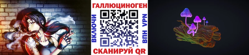 Купить закладки  Георгиевск  Галлюциногенные грибы мицелий 